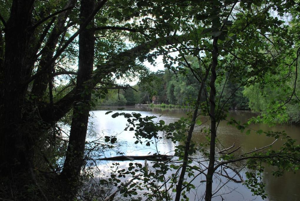 Paradis Perdu En Sologne Avec Plage Privee Villeny Exterior foto